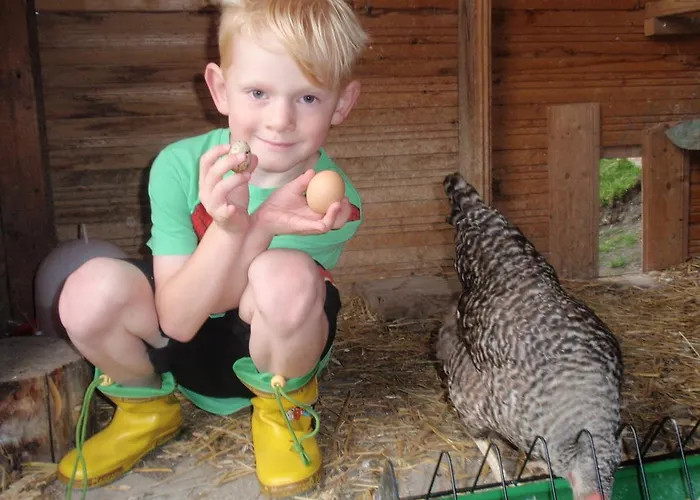 Marteshof Apartman *