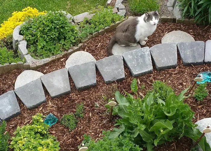 Marteshof Apartman *