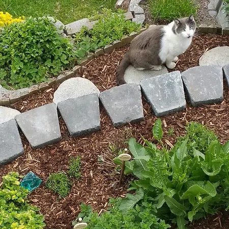 Marteshof Lejlighed *