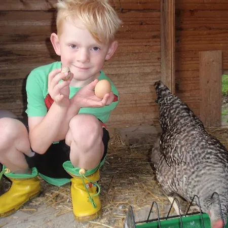 Marteshof Apartment *